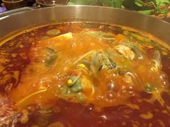 野生小鲢鱼-苗家大院酸汤鱼(贵阳北站店)