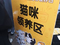 -乐汇城