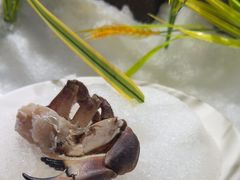 -福禧荟·海鲜自助