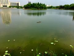 -江南大学(蠡湖校区)