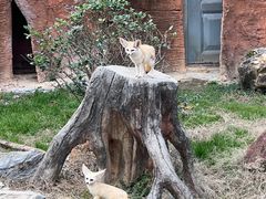 -杭州野生动物世界