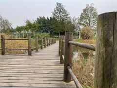 -眉山湿地公园(东坡区)