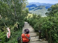 -白草畔自然风景区