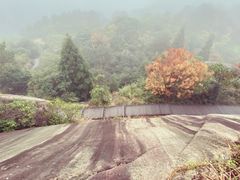 -大罗山风景区