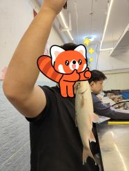 -巡鱼道·室内垂钓·渔具店