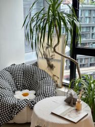 -B-BEAUTY童颜皮肤管理中心