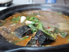 -军子大排档(迎春花园店)