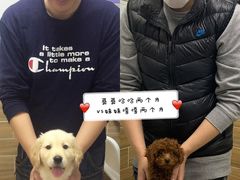 -爱侣宠医·鹦鹉专科·小型哺乳类·异宠专科(灵石路店)