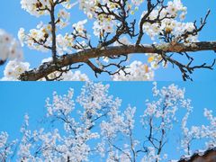 -阿坝州汶川特别旅游区