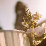 小清新婚礼的幸福感[种草][种草][种草]