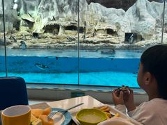 -帝企鹅自助餐厅•儿童岛•真企鹅(长隆企鹅酒店)