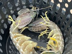 -ZF Seafood Restaurant 卓峰海鲜餐