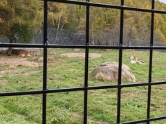 -横道河子东北虎林园