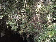 -怀托摩萤火虫洞