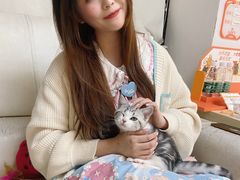 -lincat·猫舍(广州店)