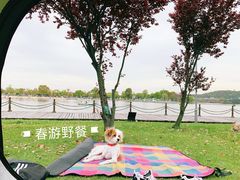 -上海月湖雕塑公园