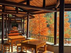 -天目湖山水园