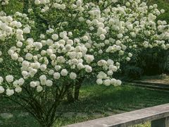 -杭州植物园