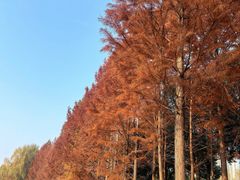 -滨湖塘西河公园