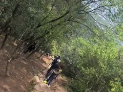 -树山生态村