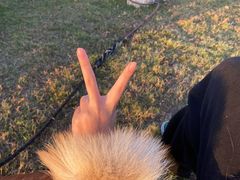 -合肥滨湖国家森林公园