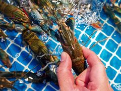 -袁老大龙虾(石鼓路总店)