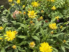 -上海交通大学(闵行校区)