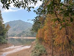 -广州市石门国家森林公园