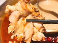 -哥老官重庆美蛙鱼头(虹口龙之梦店)