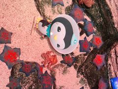 -沈阳海洋探索中心