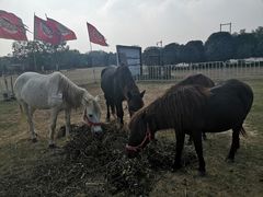 -合肥三国新城遗址公园