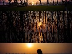 -阳澄湖半岛旅游度假区