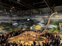 -自贡恐龙博物馆