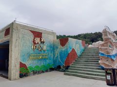 -广东惠东海龟国家级自然保护区