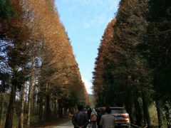 -山王坪喀斯特国家生态公园