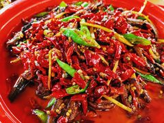 干煸鳝鱼-拈一筷子·宜宾江湖菜(十一街店)