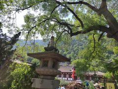 -华清宫景区