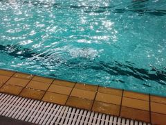 -重庆市奥林匹克体育中心-游泳跳水馆