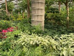 -南宫五洲植物乐园