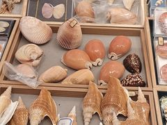 -济南恒隆广场