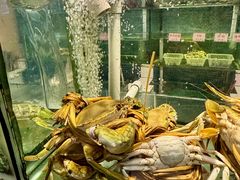 -东国海鲜火锅城(氹仔店)