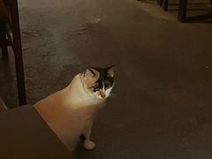 -江湖边·小生活