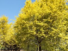 -永定河休闲森林公园