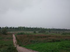 -洨河生态公园