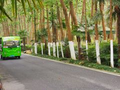 -合肥滨湖国家森林公园