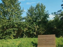 -白鹭湾湿地公园