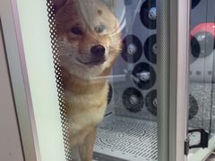 -FAELING PETS美天灵宠物(富力广场店)