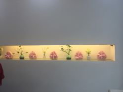 -国颐堂养发SPA馆