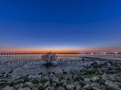 -宝安西湾红树林湿地公园