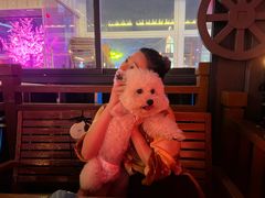 -MR.ROCKY洛奇先生·西餐&酒吧(琶醍店)